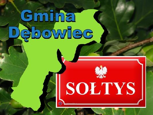 Oficjalne wyniki wyborów sołtysów z terenu gminy Dębowiec