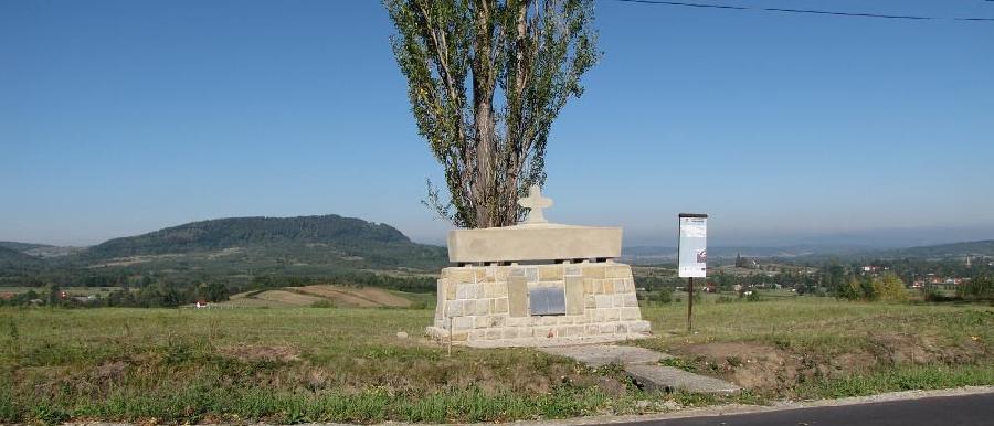 Remont cmentarza wojennego nr 10 - Wola Cieklińska (Sieniawa)