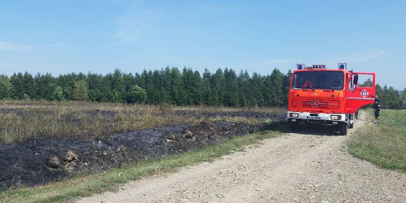 Pożar traw w Woli Dębowieckiej