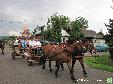 15 sierpnia każdy kwiat woła: Zanieś mnie do kościoła!