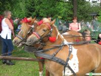 Piknik rodzinny 2015