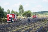 Pożar łąk i ściernisk w Pagórku