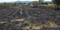 Pożar łąk i ściernisk w Pagórku