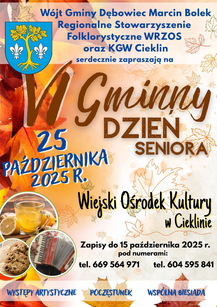 VI Gminny Dzień Seniora