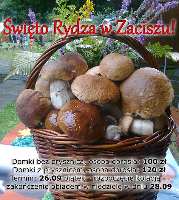 Święto Rydza 2014