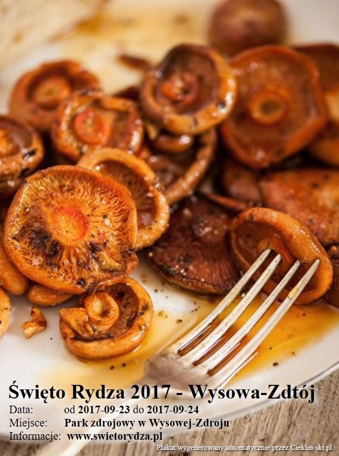 Święto Rydza 2017 - Wysowa-Zdtój