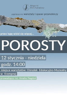 Przez lupę widzi się więcej, czyli... odkrywamy porosty!