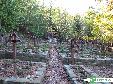 Cmentarz nr 14 - Cieklin