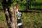 Gminne Obchody Dnia Strażaka w Cieklinie