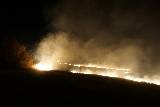 Pożar traw w Woli Cieklińskiej