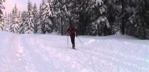 Kurs narciarstwa biegowego - odc.1