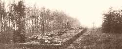 Bitwa o Cieklin 4 maja 1915 rok