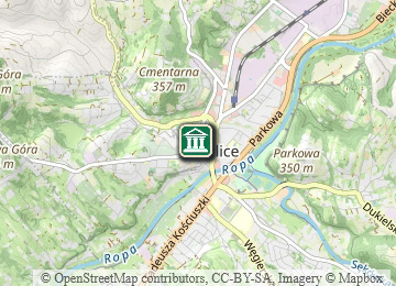 Mapa - Beskid Niski i Pogórze